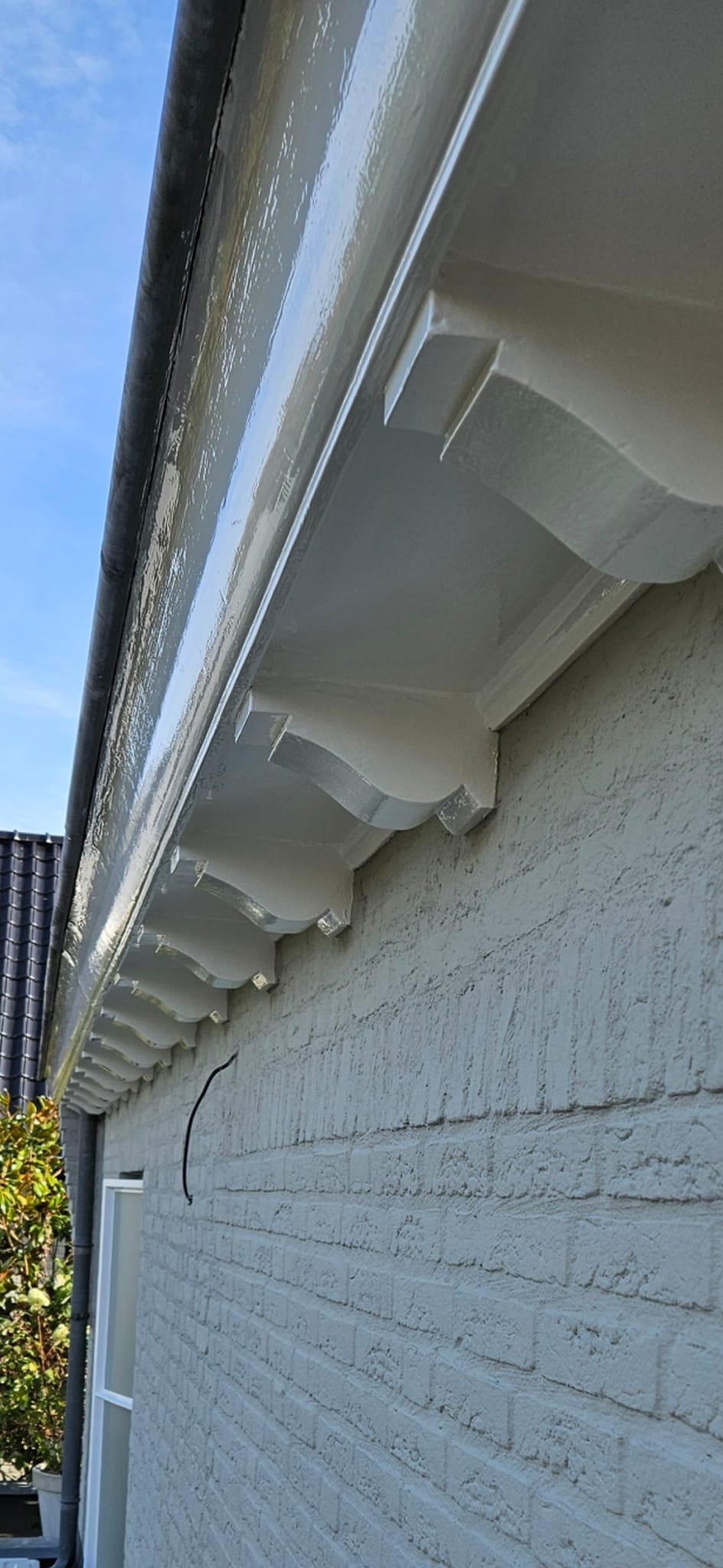 486834554_1560036808795836_7561250043479395574_n