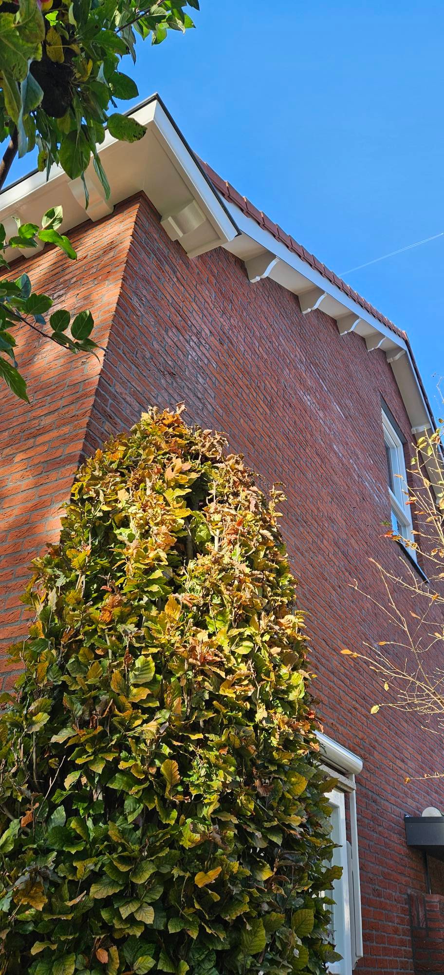 572470220_1756746125791569_6259659934185267647_n